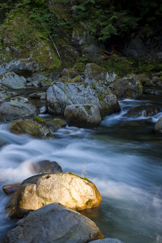 Rocks In The Snoqualmie River